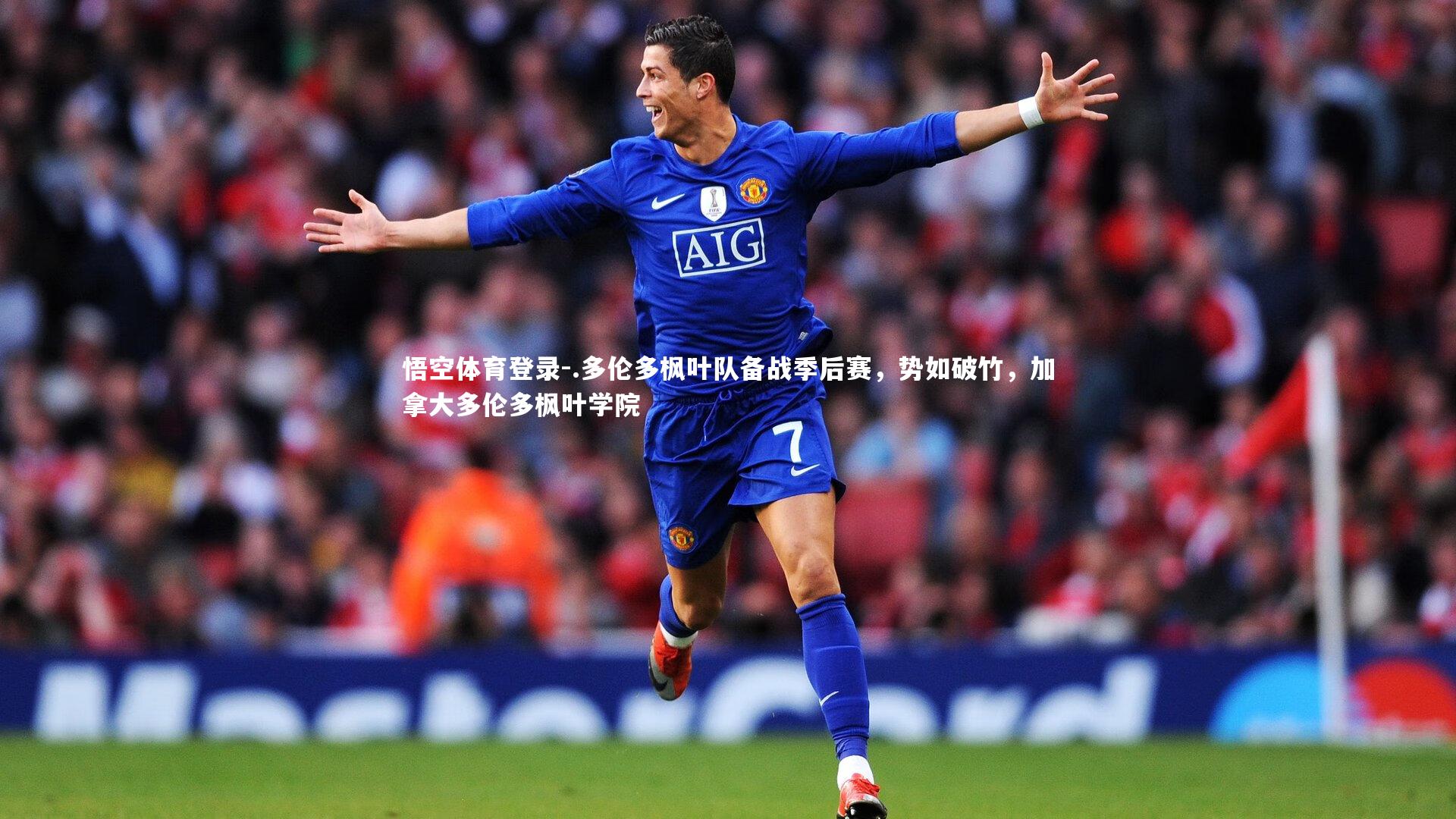 .多伦多枫叶队备战季后赛，势如破竹，加拿大多伦多枫叶学院